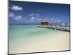 Photographic Print