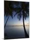 Premium Photographic Print