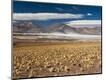 Photographic Print