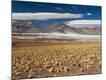 Photographic Print