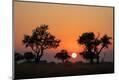 Photographic Print