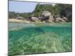 Photographic Print