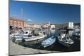 Photographic Print