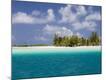 Photographic Print