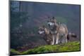 Photographic Print