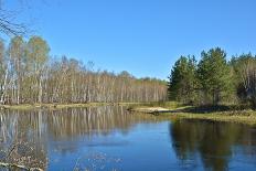 Spring River Landscape.-sergunt-Premier Image Canvas