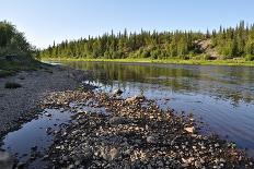 Spring River Landscape.-sergunt-Photographic Print