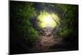 Photographic Print