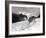 Serie Televisee Lassie 1954-74-null-Framed Photo