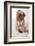 Serious Dog In Glasses-Okssi-Framed Photographic Print