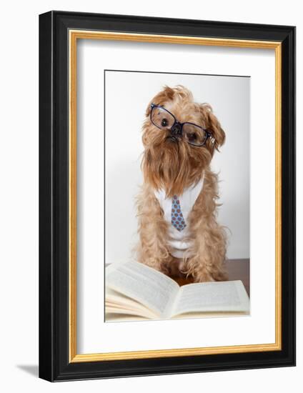 Serious Dog In Glasses-Okssi-Framed Photographic Print