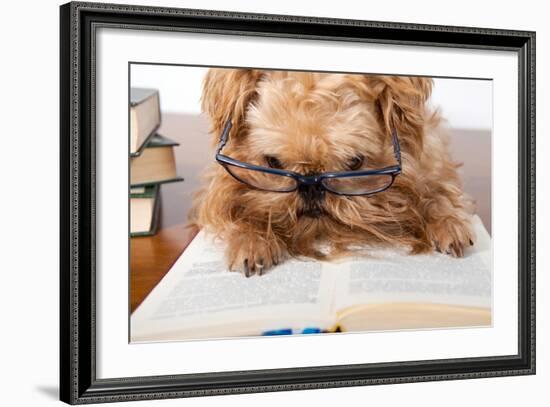 Serious Dog In Glasses-Okssi-Framed Photographic Print