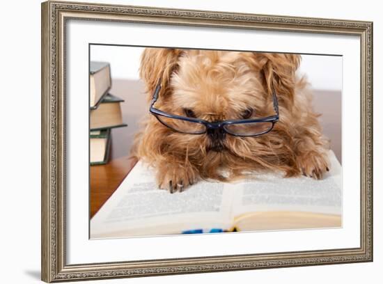 Serious Dog In Glasses-Okssi-Framed Photographic Print
