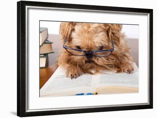 Serious Dog In Glasses-Okssi-Framed Photographic Print