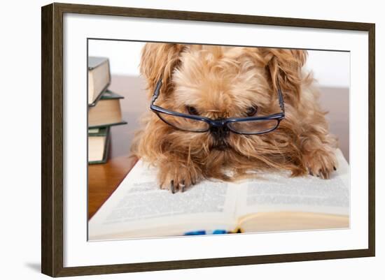 Serious Dog In Glasses-Okssi-Framed Photographic Print