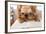 Serious Dog In Glasses-Okssi-Framed Photographic Print