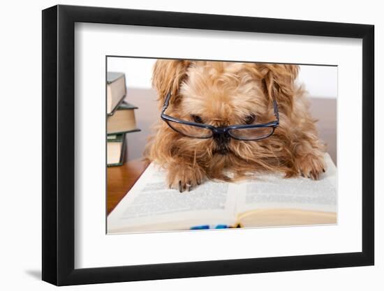 Serious Dog In Glasses-Okssi-Framed Photographic Print