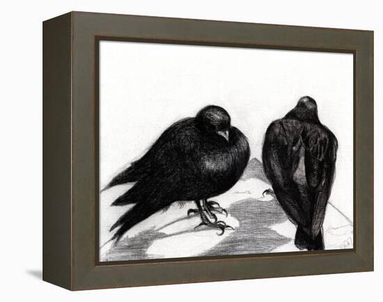 Serious Pigeon Situation, 2012-Nancy Moniz-Framed Premier Image Canvas