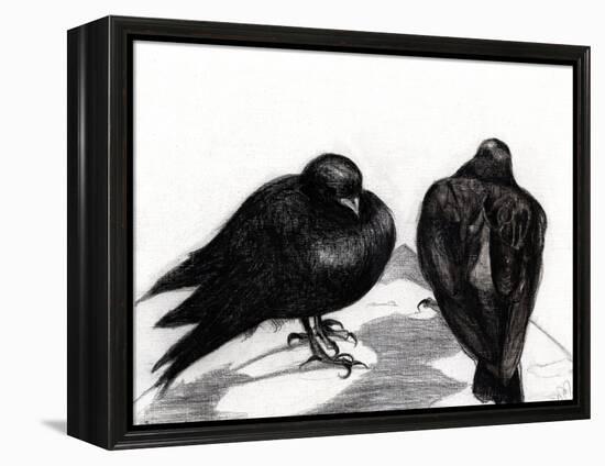 Serious Pigeon Situation, 2012-Nancy Moniz-Framed Premier Image Canvas