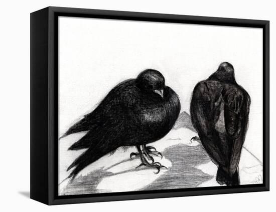 Serious Pigeon Situation, 2012-Nancy Moniz-Framed Premier Image Canvas