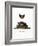 Serotine Bat-null-Framed Giclee Print