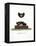 Serotine Bat-null-Framed Premier Image Canvas