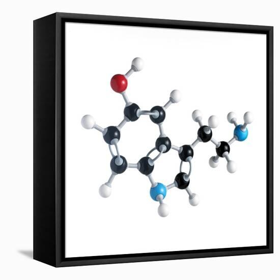 Serotonin Neurotransmitter Molecule-Science Photo Library-Framed Premier Image Canvas