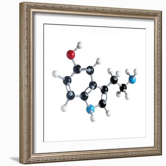 Serotonin Neurotransmitter Molecule-Science Photo Library-Framed Premium Photographic Print