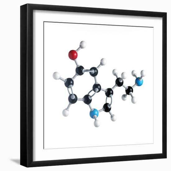 Serotonin Neurotransmitter Molecule-Science Photo Library-Framed Premium Photographic Print