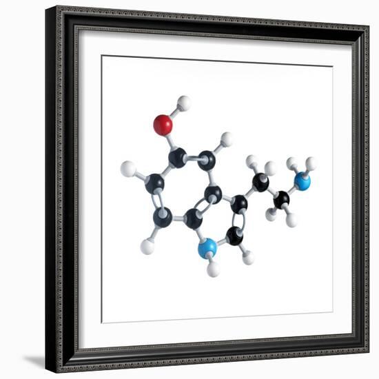 Serotonin Neurotransmitter Molecule-Science Photo Library-Framed Premium Photographic Print