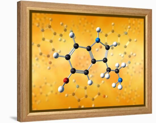 Serotonin Neurotransmitter Molecule-David Mack-Framed Premier Image Canvas