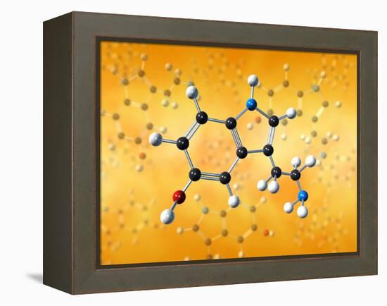 Serotonin Neurotransmitter Molecule-David Mack-Framed Premier Image Canvas