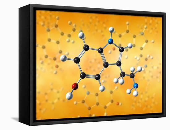 Serotonin Neurotransmitter Molecule-David Mack-Framed Premier Image Canvas