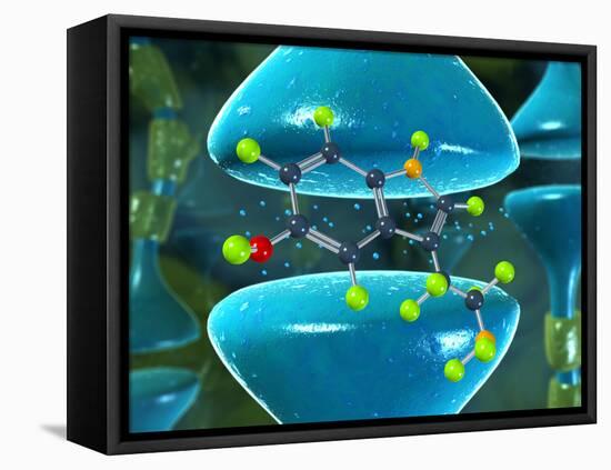 Serotonin Neurotransmitter Molecule-David Mack-Framed Premier Image Canvas