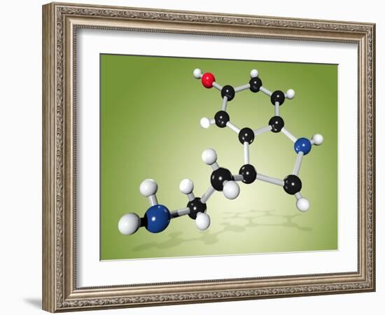 Serotonin Neurotransmitter Molecule-Miriam Maslo-Framed Photographic Print