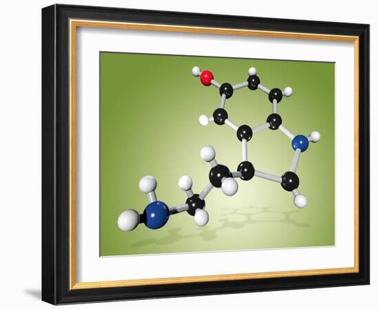 Serotonin Neurotransmitter Molecule-Miriam Maslo-Framed Photographic Print