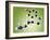 Serotonin Neurotransmitter Molecule-Miriam Maslo-Framed Photographic Print