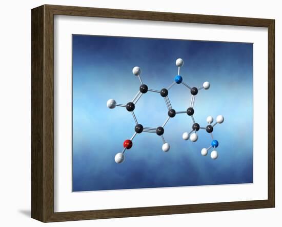 Serotonin Neurotransmitter Molecule-David Mack-Framed Photographic Print