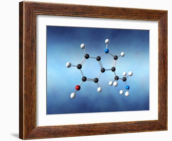 Serotonin Neurotransmitter Molecule-David Mack-Framed Photographic Print