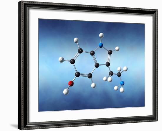 Serotonin Neurotransmitter Molecule-David Mack-Framed Photographic Print