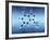 Serotonin Neurotransmitter Molecule-David Mack-Framed Photographic Print