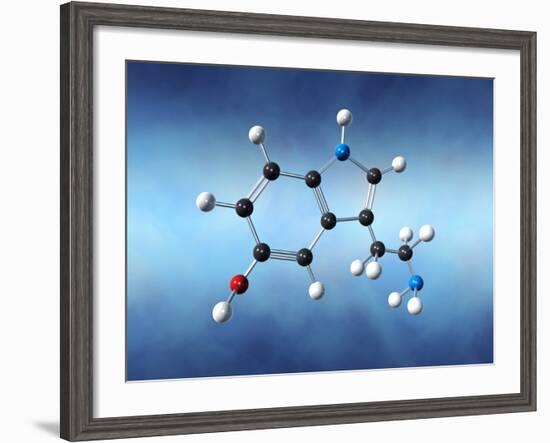 Serotonin Neurotransmitter Molecule-David Mack-Framed Photographic Print