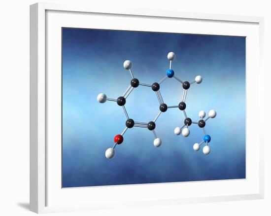 Serotonin Neurotransmitter Molecule-David Mack-Framed Photographic Print