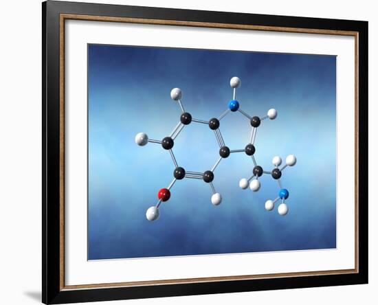 Serotonin Neurotransmitter Molecule-David Mack-Framed Photographic Print