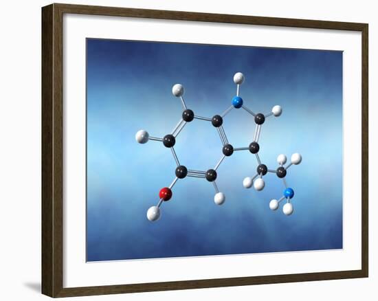 Serotonin Neurotransmitter Molecule-David Mack-Framed Photographic Print