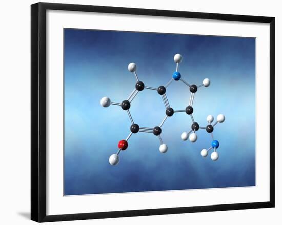 Serotonin Neurotransmitter Molecule-David Mack-Framed Photographic Print