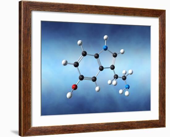 Serotonin Neurotransmitter Molecule-David Mack-Framed Photographic Print