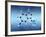 Serotonin Neurotransmitter Molecule-David Mack-Framed Photographic Print