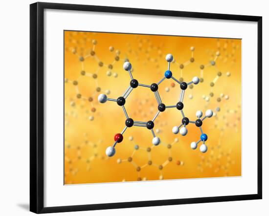 Serotonin Neurotransmitter Molecule-David Mack-Framed Photographic Print