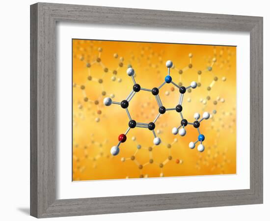 Serotonin Neurotransmitter Molecule-David Mack-Framed Photographic Print